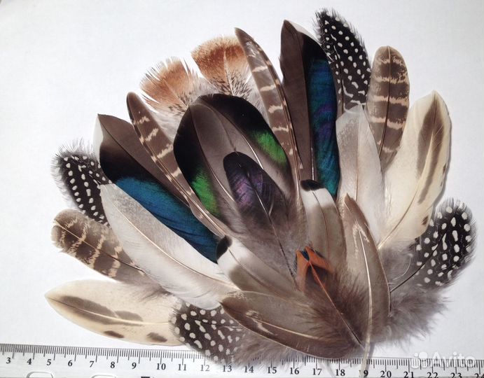 Перья индейки и др. птиц в наборах