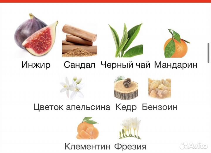 Fig Infusion Essential purfums оригинал за 5 мл