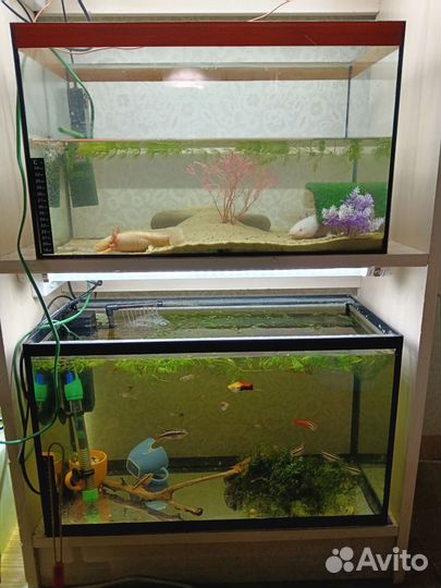 Аквариум с тумбой