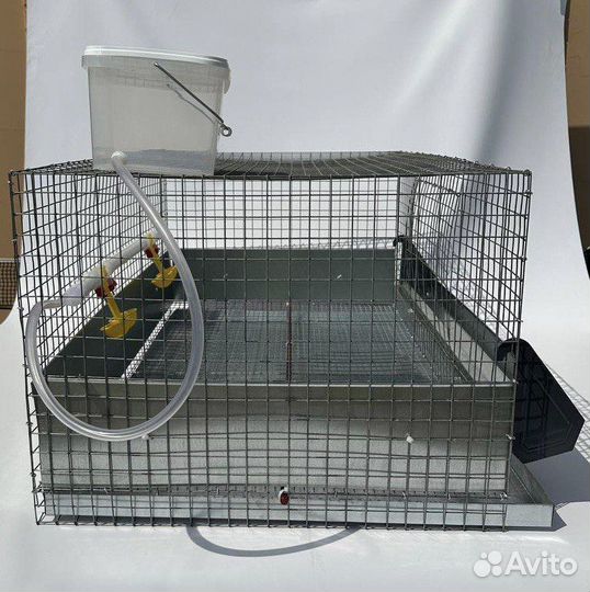 Клетки для кур бройлеров