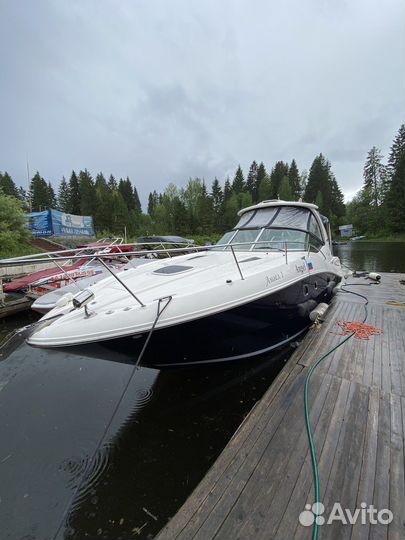 Sea Ray 335