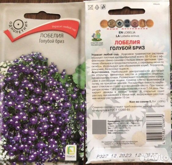 Лобелия голубой бриз стаканчик 0,5