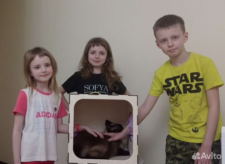 Игра угадай кто