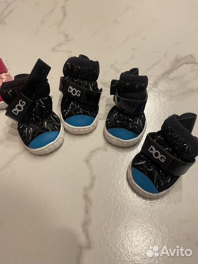 Обувь для собак