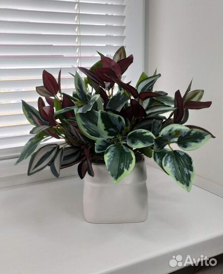 Суккуленты искусственные. Искусственные цветы