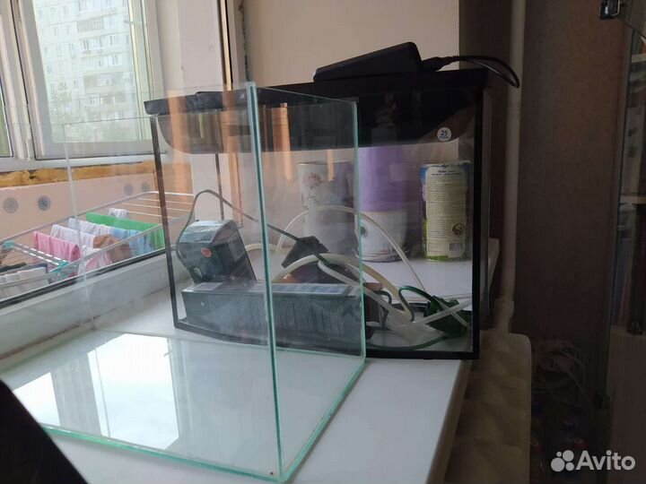 Аквариумные рыбки, фильтр для аквариума