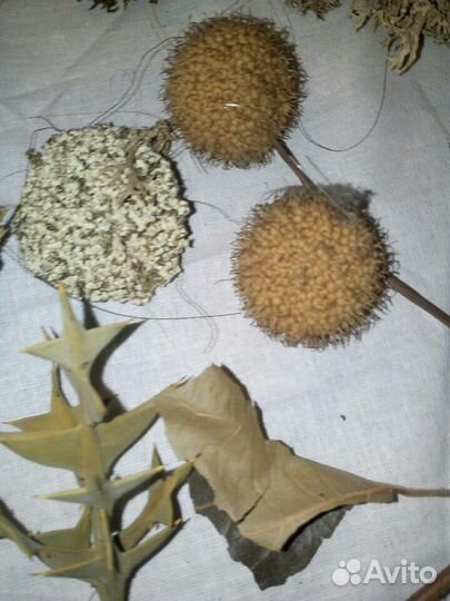 Природный материал