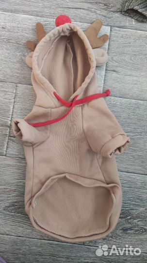 Одежда для собак мелких пород