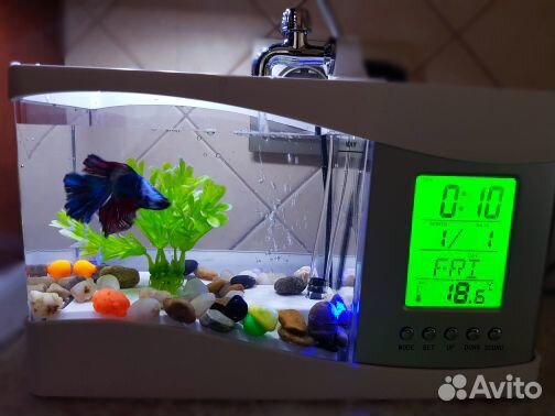Личный Мини аквариум (новый)