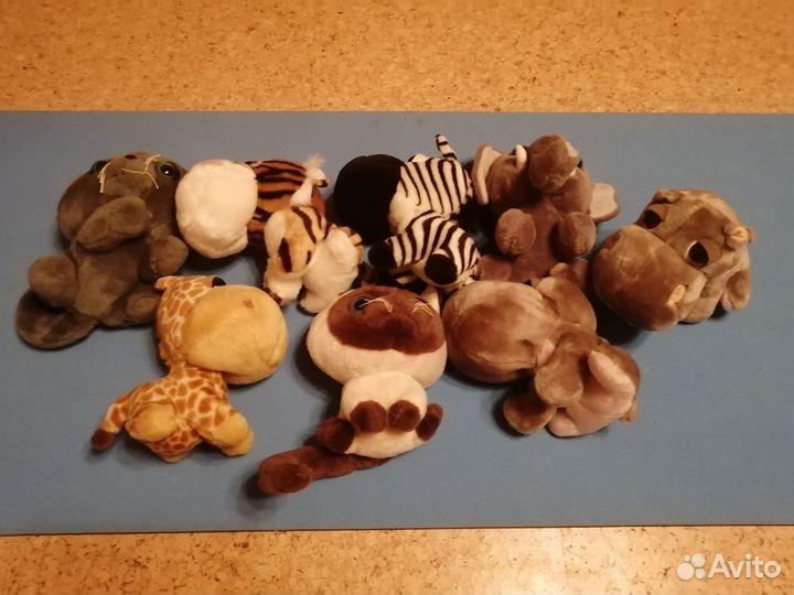 Big heads животные, много, разные, отличные