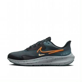 Nike Pegasus 39 Shield