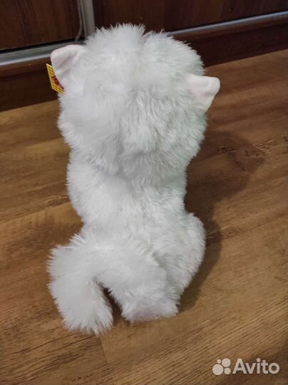 Большой кот