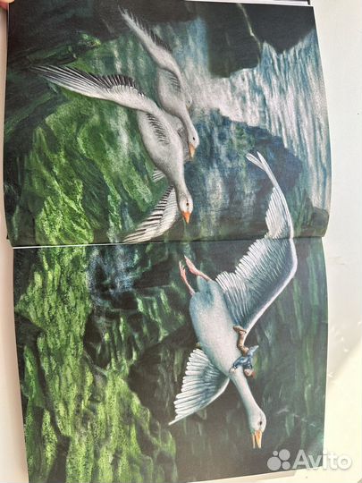 Чудесное путешествие Нильса с дикими гусями