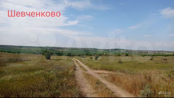 Участок 50 сот. (СНТ, ДНП)
