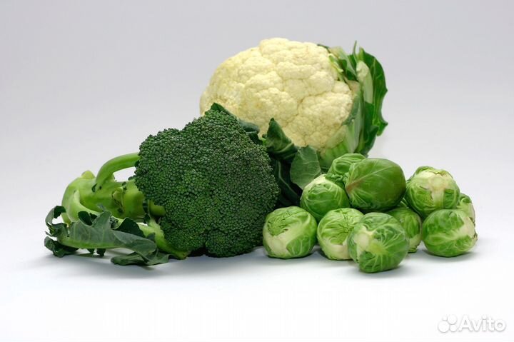 Ягоды, грибы, овощные заморозки, орех