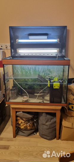 Акватеррариум для рептилий торг