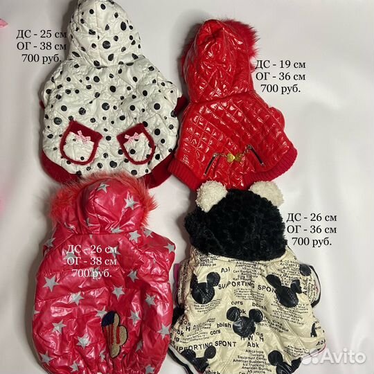 Комбинезон, куртка, одежда для маленьких собак