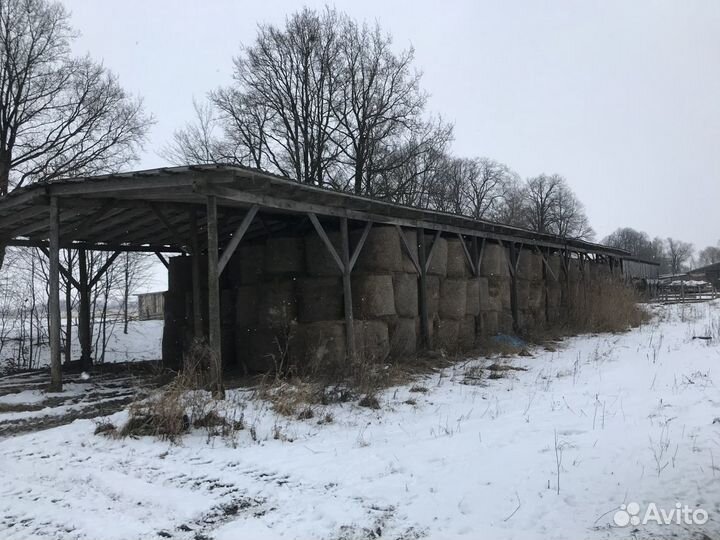 Крестьянское фермерское хозяйство, кфх