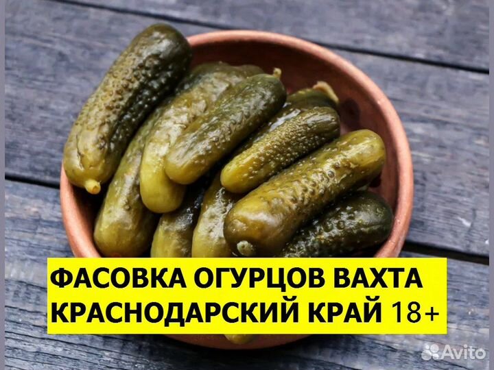 Фасовщик маринованных огурцов вахта Новоминская