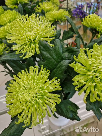 Ночной продавец