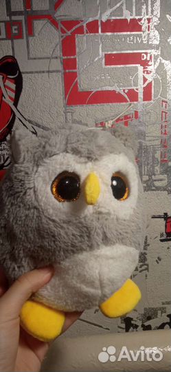 Сова, похожая на Дуолинго