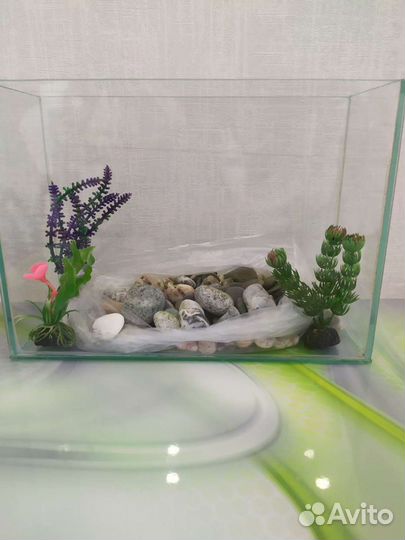 Аквариум