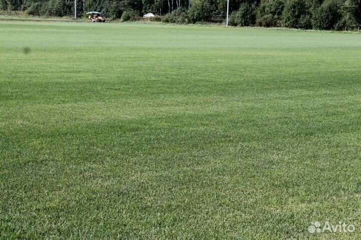 Рулонный газон /продажа/укладка