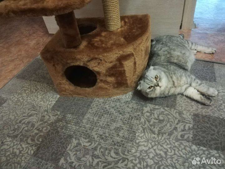 Домик для кошки с когтеточкой