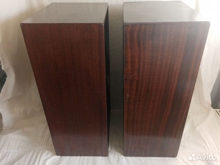 Акустика Радиотехника 35ас-1