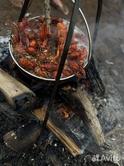 Живые раки