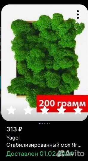 Стабилизированный мох