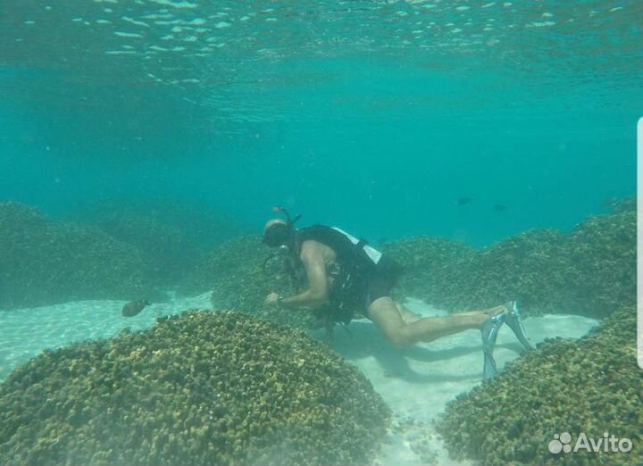 Обучение дайвингу