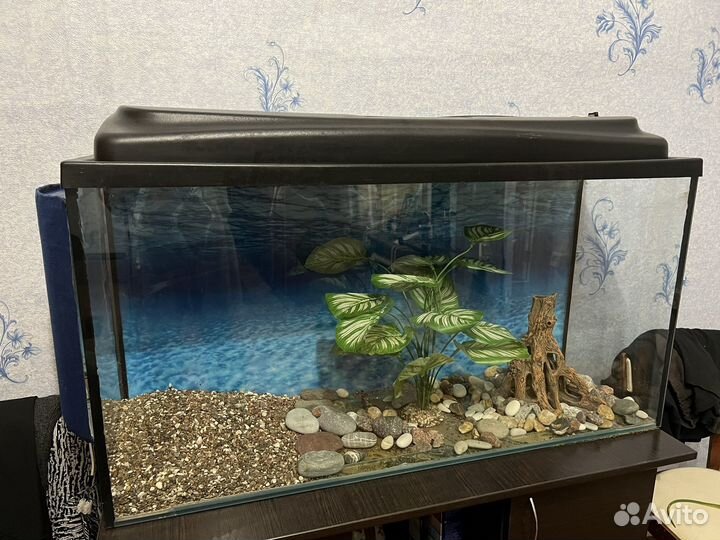 Аквариум
