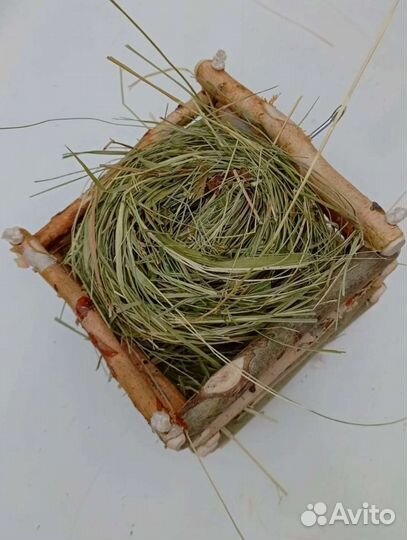 Домик для декоративного кролика