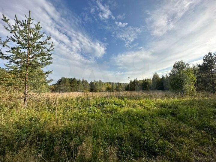 Участок 10 сот. (СНТ, ДНП)