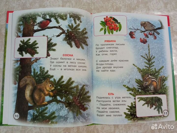 Книга для дошкольников