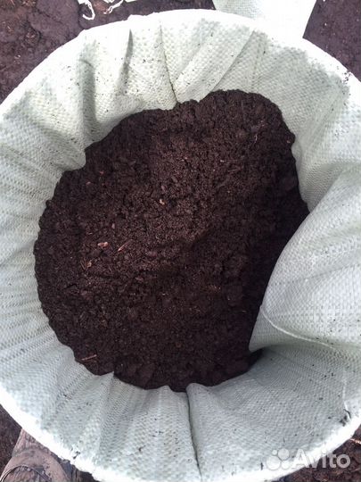 Торфогрунт