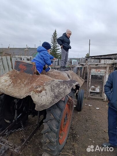 Плуг 86 Механический завод ПСК-5, 2000