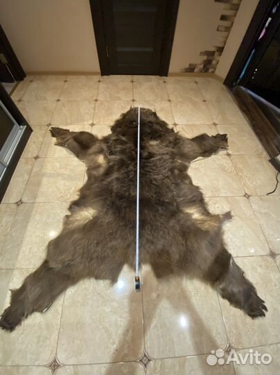 Шкура медаедя имитация