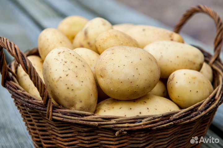 Продам картофель с доставкой