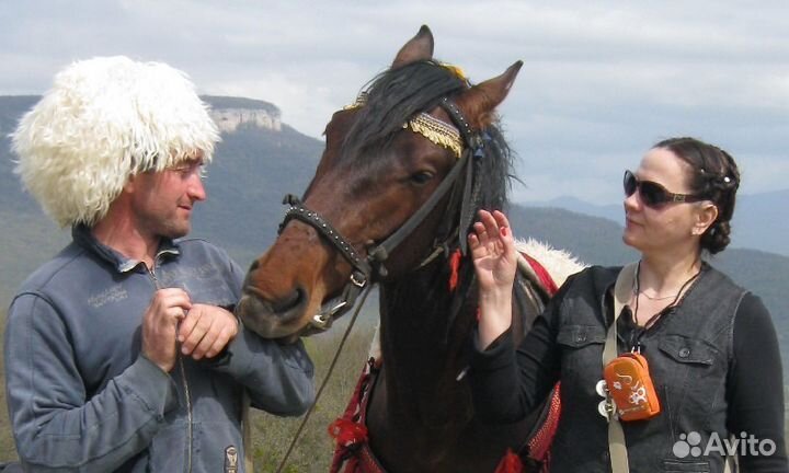 Конные походы и прогулки в горной Адыгее