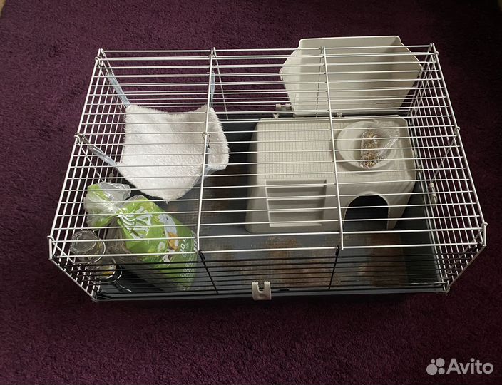Клетка для морской свинки