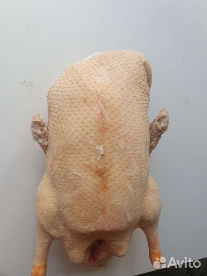 Гуси, мясо гуся
