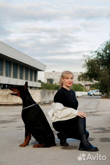 Фотосессия с доберманом