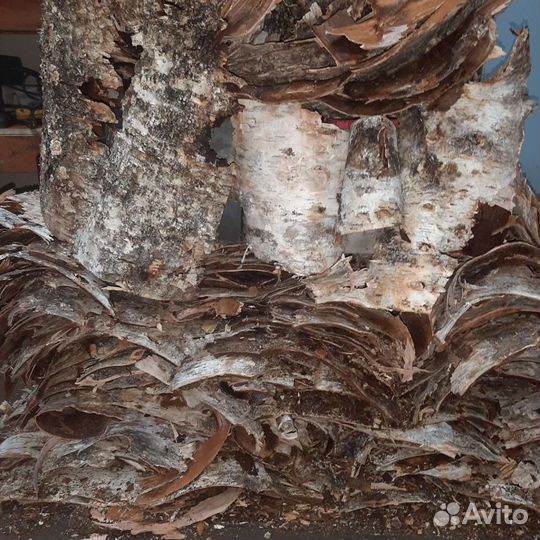 Продам Дрова березовые колотые сухие доставка