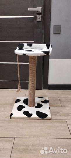 Когтеточка