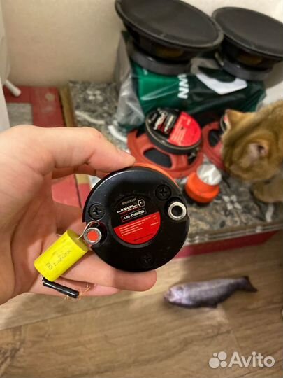 Пищалки твитеры