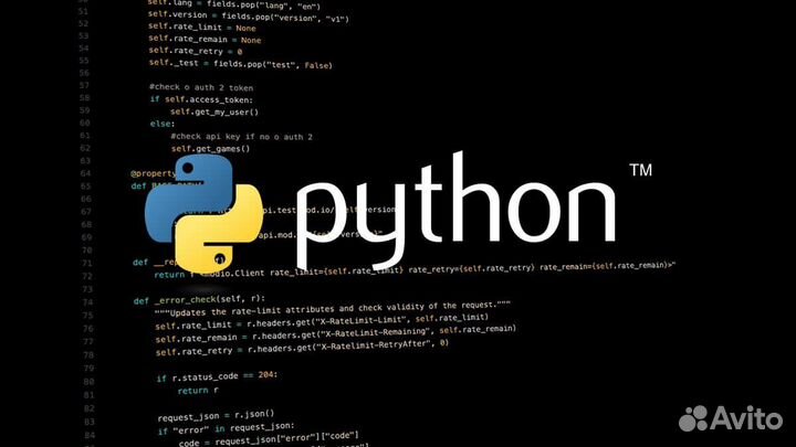 Помощь в решении задач на Python