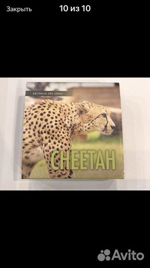 Золотая монета,Австралийский зоопарк,Гепард 2021