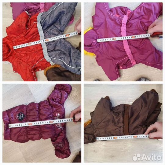 Одежда для собак, комбинезон для собаки